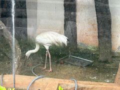 -南昌动物园