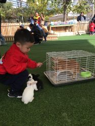 -萌宠亲子动物乐园(槐房万达店)