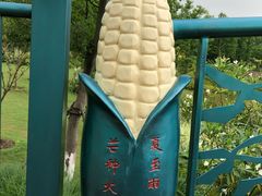 -上海长兴岛郊野公园