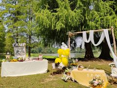 -南宁良凤江国家森林公园