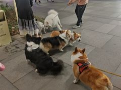 -瑞虹新天地月亮湾