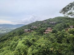 -三亚亚龙湾人间天堂鸟巢度假村