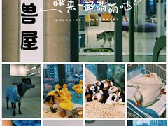 -怪兽屋·羊驼·猫咖·狗咖(俊华广场店)