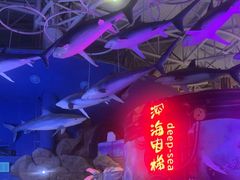 -烟台海昌鲸鲨海洋公园