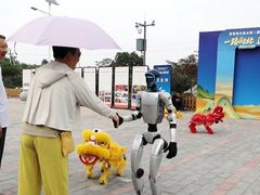 -阳台山自然风景区