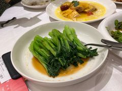 广东白灼菜心-湛江菜.江南首席(昆山店)