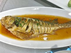 酱焖大黄花-城南往事·鲁菜济南菜(龙奥万科店)