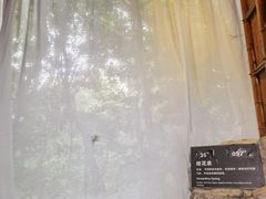 -海口观澜湖火山温泉谷