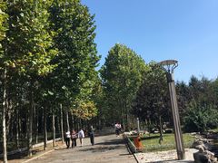 -青岛第三海水浴场