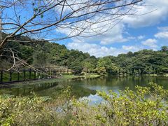 -广州市石门国家森林公园