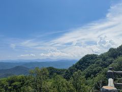 -栾川竹海野生动物园