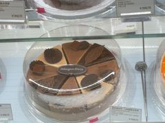 -哈根达斯(绍兴银泰店)