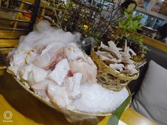 -洪氏嗨捞·广东猪肚鸡·椰子鸡火锅(西咸万象城店)