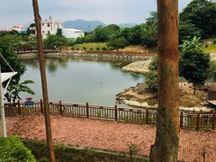 -泉州海丝野生动物世界