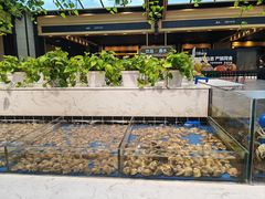 -川骄海鲜自助(王府井奥莱UP TOWN店原世界之花店)