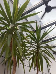 -无界瑜伽普拉提