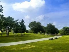 -盘龙城国家考古遗址公园