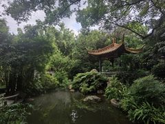 -广州兰圃