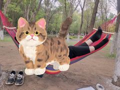 -长白岛森林公园