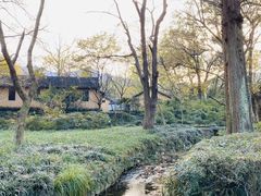 -法云安缦酒店