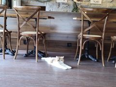 -猫岛主趣味餐厅(鼓浪屿店)