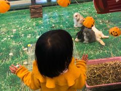 -石头先生的烤炉(济南领秀城贵和店)