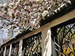-桃花堤公园