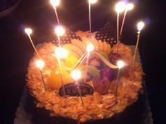 -丽莎蓓甜CAKE生日蛋糕·动物奶油(石家庄店)