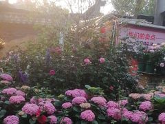 -园林美食城·本土农家菜(杨和镇店)