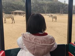 -杭州野生动物世界