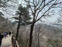 -大芦花风景区