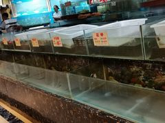 水产区-金龙渔港(双楠店)