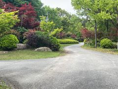 -东平国家森林公园