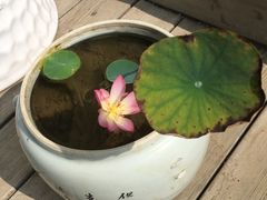 -冬日咖啡