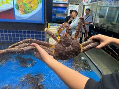 -琼菜人家·海南菜·文昌鸡(文昌大道店)