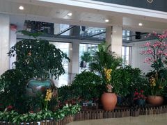 -杭州文化广播电视集团