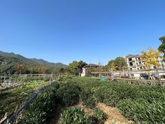 -听风阁农家私房菜茶楼(龙坞店)