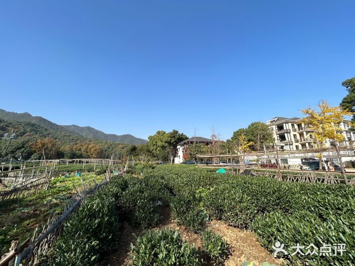 听风阁农家私房菜茶楼(龙坞店)图片