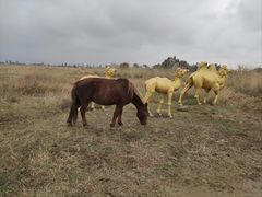 -敕勒川草原文化旅游区