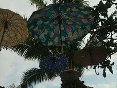 -芭提雅Amporn Seafood自助餐厅