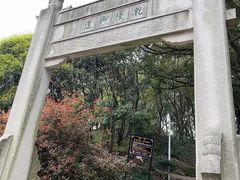 -苏州上方山国家森林公园