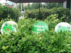 -蛙两只美蛙鱼头火锅(恒茂店)