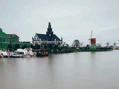 -荷兰花海