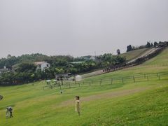 -川南大草原