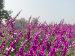 -汉长安城未央宫国家考古遗址公园