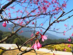-福清灵石山国家森林公园