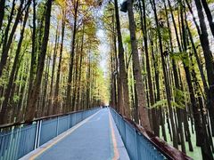 -青山湖景区