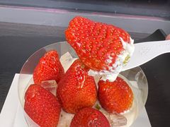 -喜茶(深圳欢乐海岸LAB店)