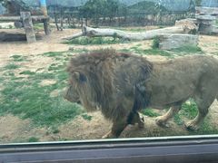 -西霞口神雕山野生动物世界