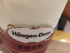 -哈根达斯(石家庄北国店)